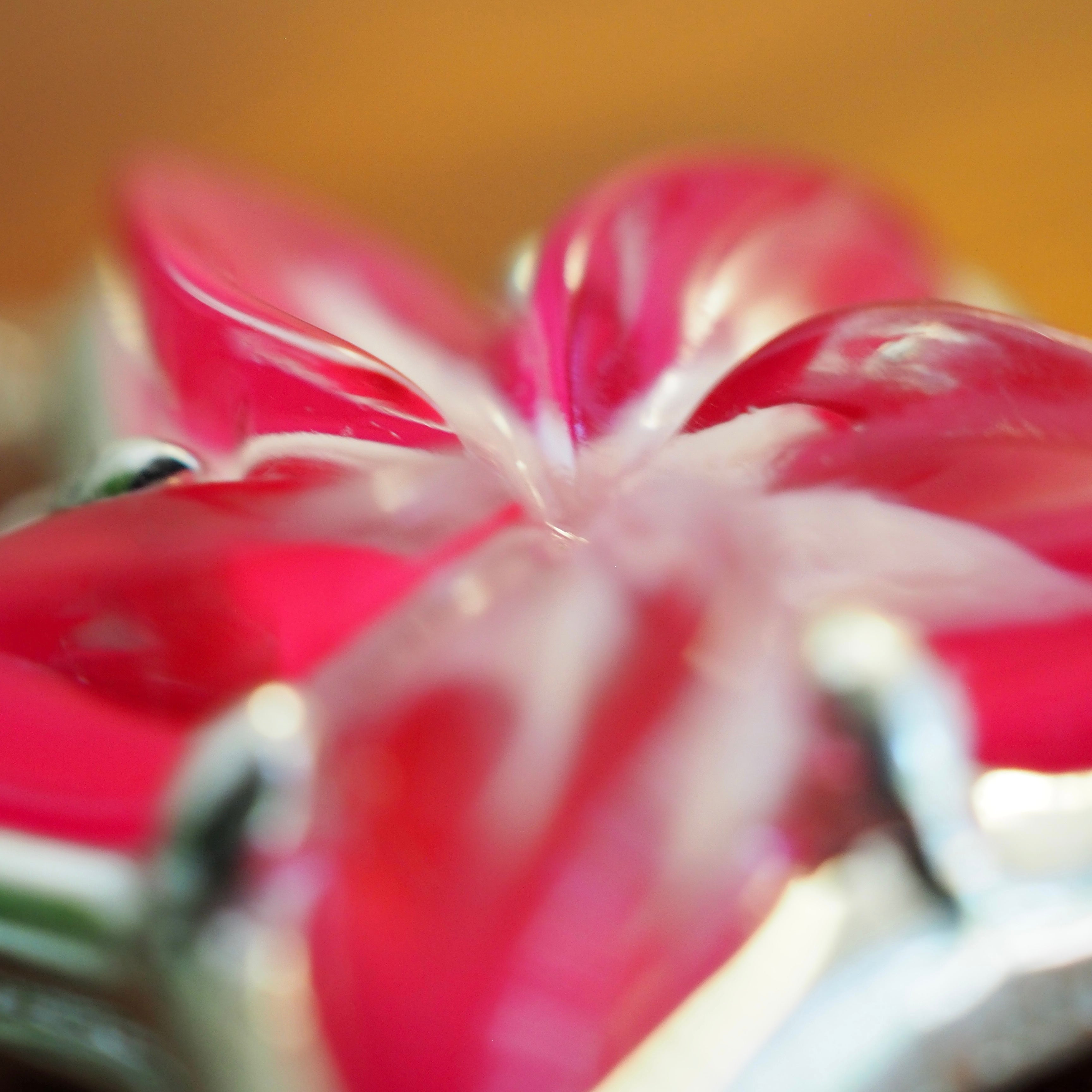 Tropical Flower with Chain