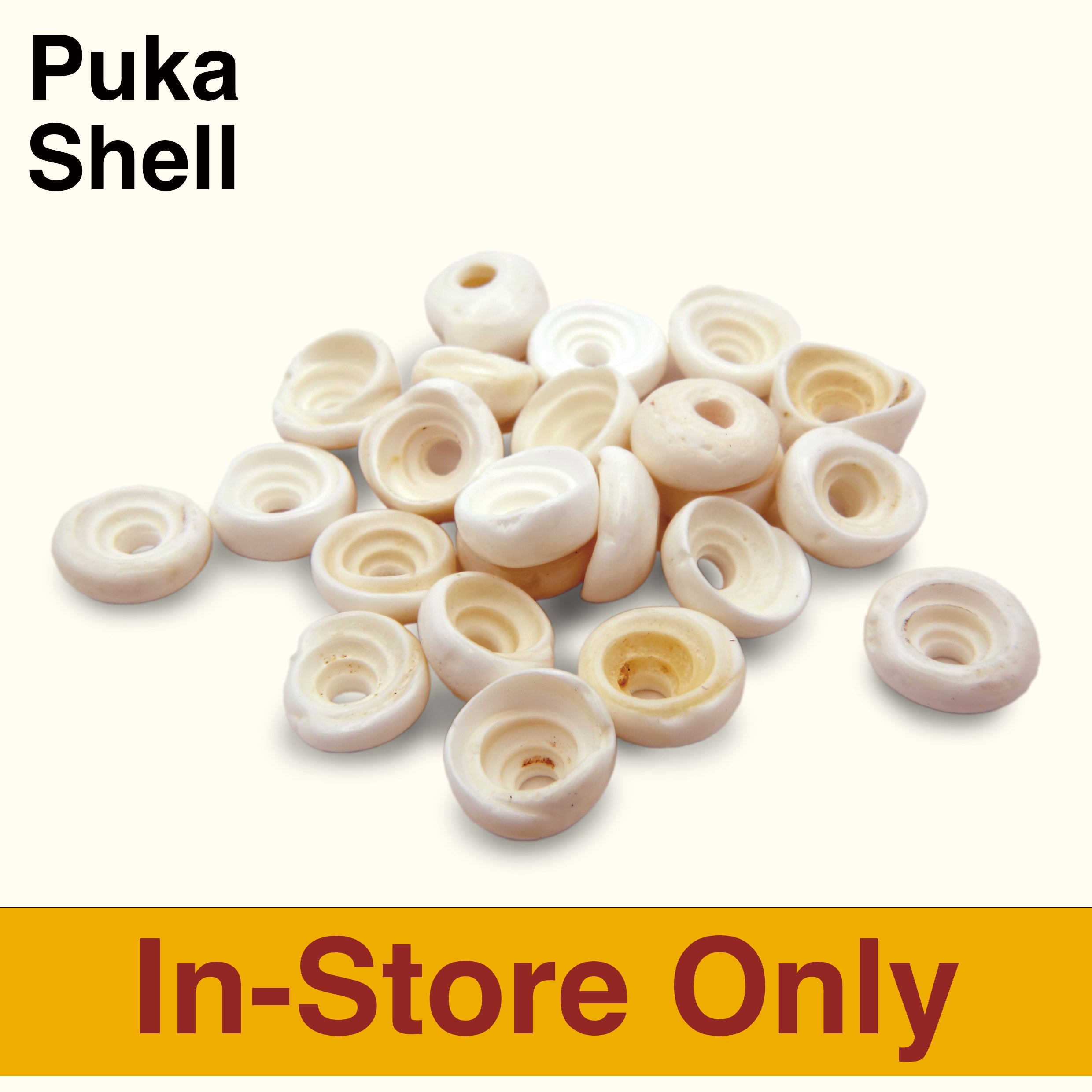 Puka Shell [1 Piece]